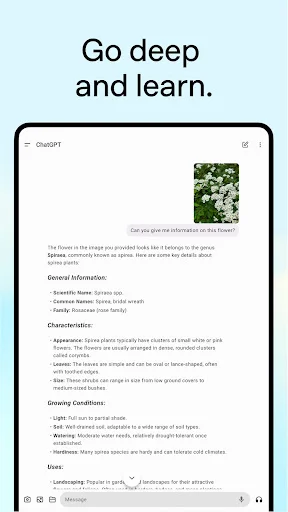 Download ChatGPT Terbaru – Asisten AI Cerdas Gratis di HP description image 10