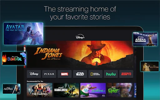 Download Disney+ APK Terbaru – Streaming Film & Serial Terbaik description image 8