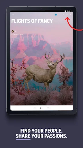 Download Flipboard Terbaru – Baca Berita & Artikel Terkini Gratis description image 15