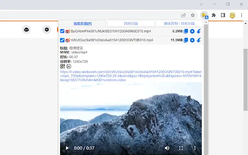 Download Cat-Catch Terbaru – Alat Sniffing Media Terbaik description image 1