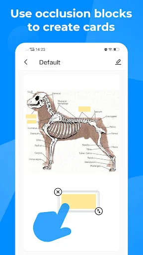 Download Knowlet Terbaru – Belajar Flashcard Gratis & Efektif description image 8